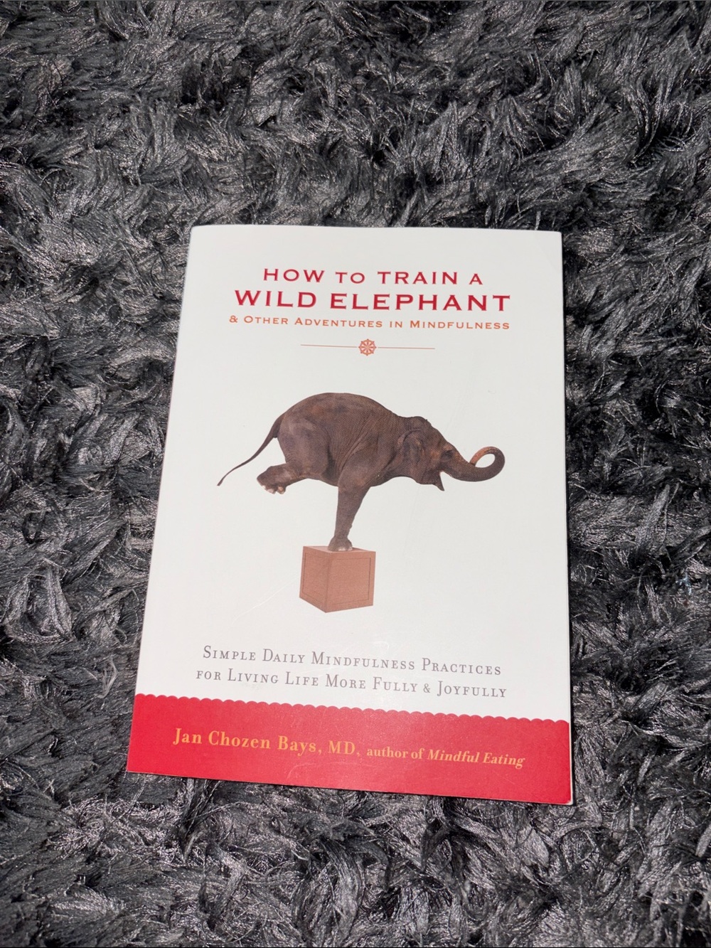 How to Train a Wild Elephant by Jan Chozen Bays